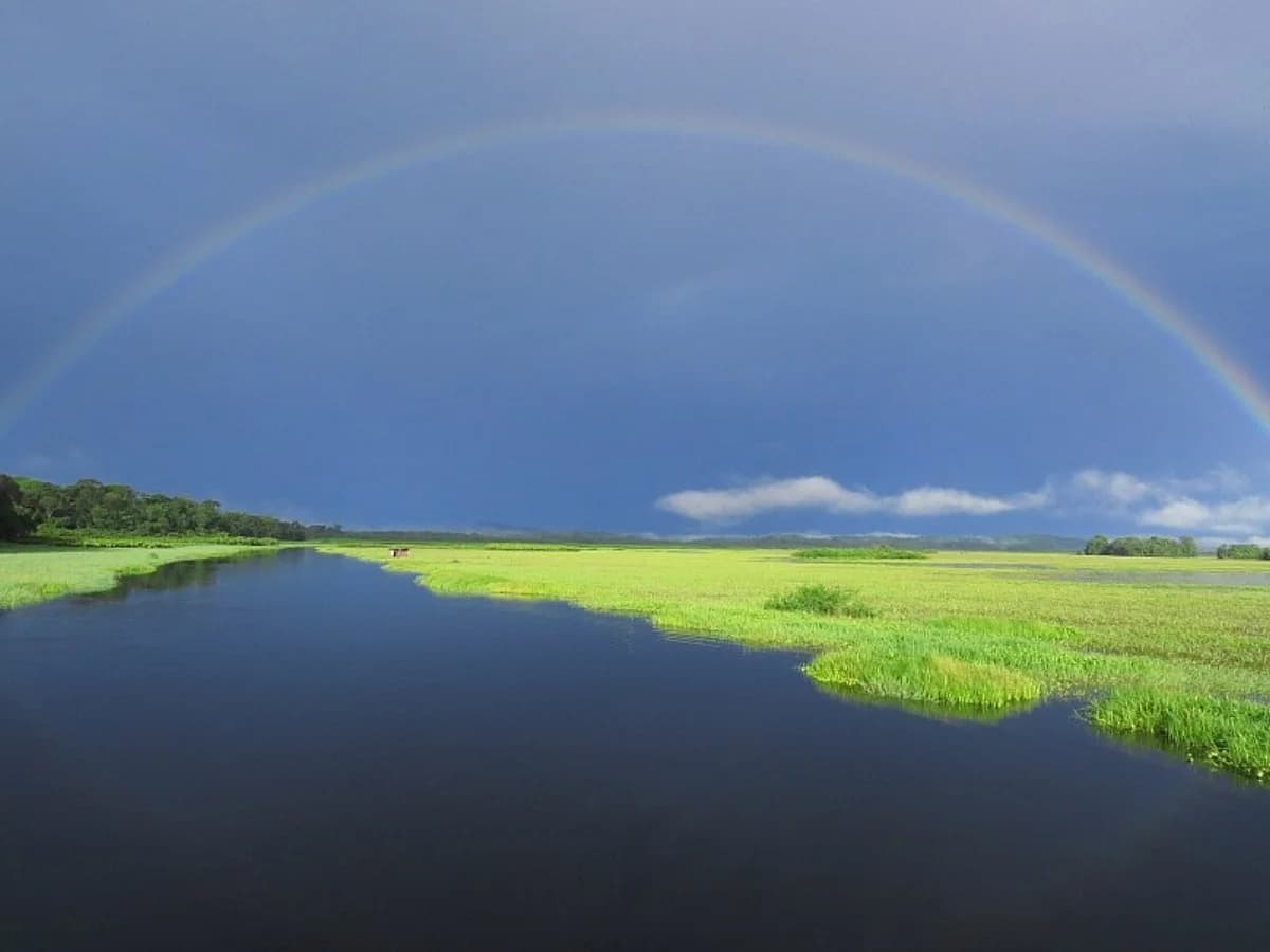 Arc-en-ciel sur les Marais de Kaw