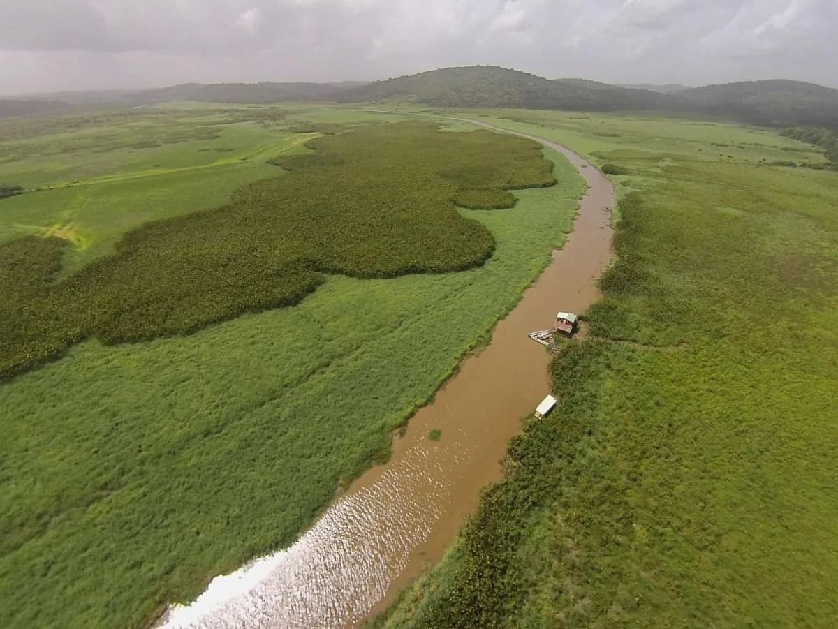 Les Marais de Kaw vus du ciel